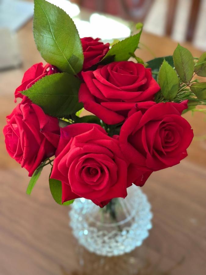 Wine And Roses Bed And Breakfast Adelaide Dış mekan fotoğraf