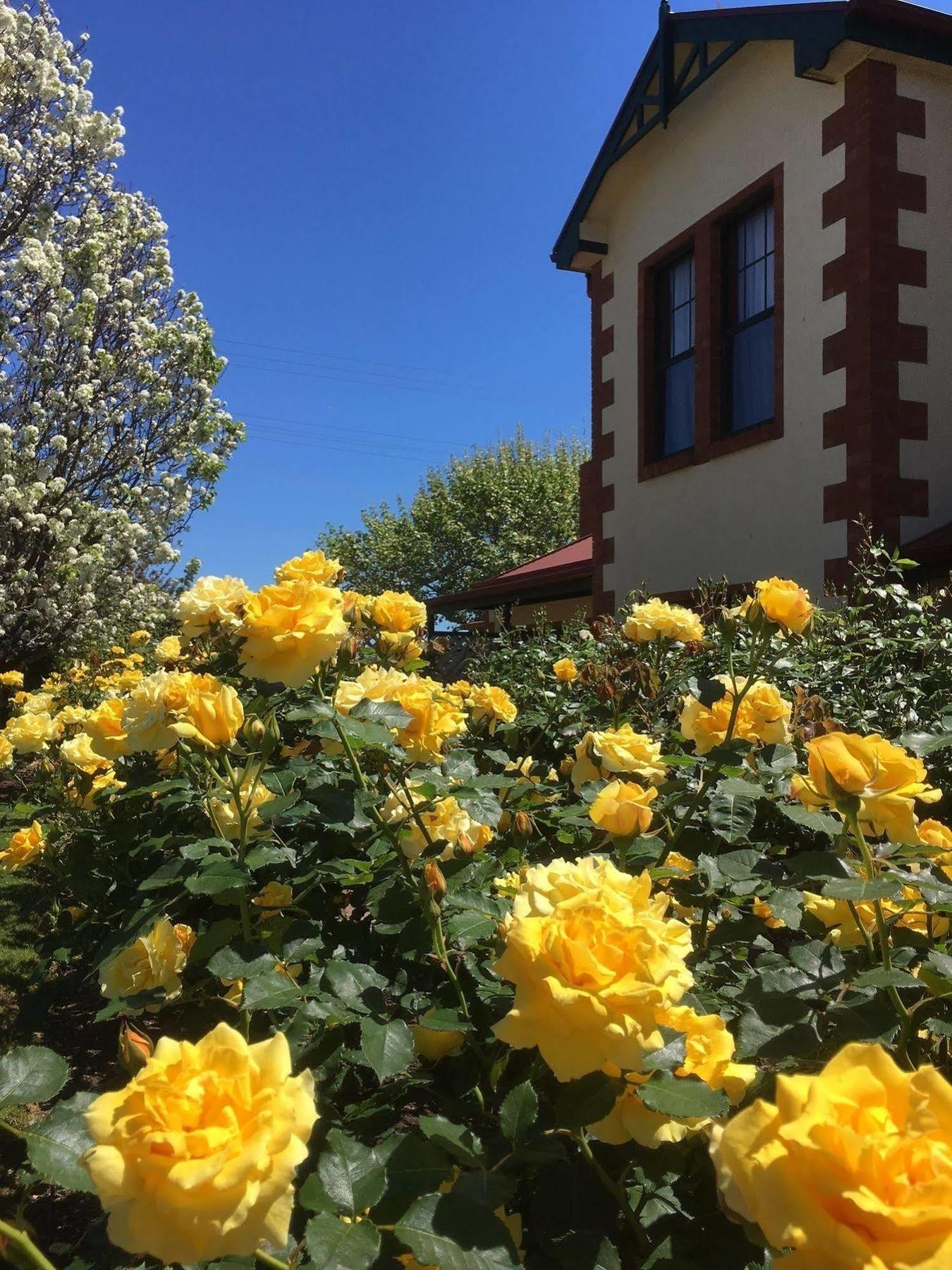 Wine And Roses Bed And Breakfast Adelaide Dış mekan fotoğraf
